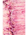 D Style Kikiamo Kk16 3' X 5' Area Rug In Pink
