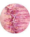 D Style Kikiamo Kk16 8' X 8' Round Area Rug In Pink