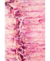 D Style Splash Spl16 Area Rug In Pink