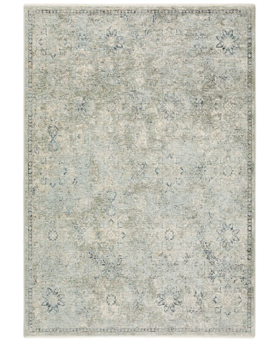 D Style Kingly Kgy4 9' X 13'2" Area Rug In Mist