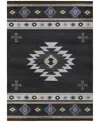 D Style Phoenix Washable Ph4 10' X 14' Area Rug In Black