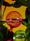 Dab'o Hand-blown Crystal Water-diffusing Globes (set Of 2)  Abask Gift Set In  Pink