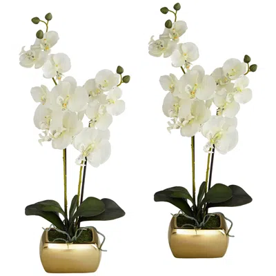 Dahlia Studios White Orchid 22" High Faux Flowers In Gold Ceramic Pot Set Of 2