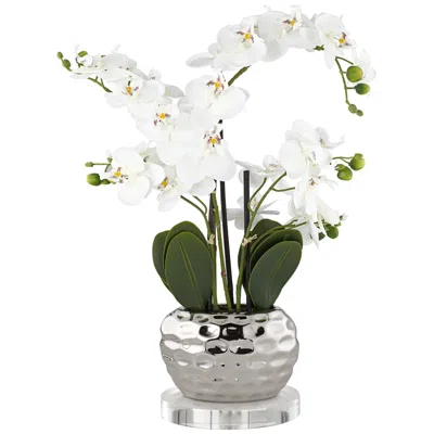 Dahlia Studios White Phalaenopsis 23"h Faux Orchid With 7" Round Acrylic Riser