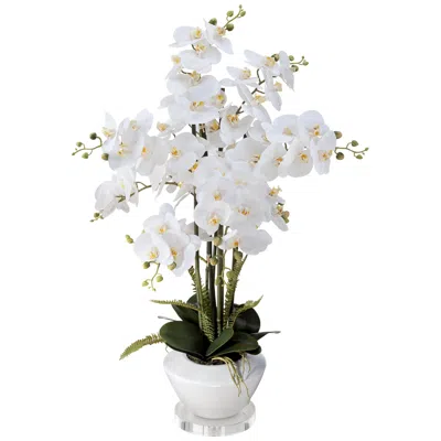 Dahlia Studios White Phalaenopsis Faux Orchid 29"h With 7" Round Acrylic Riser