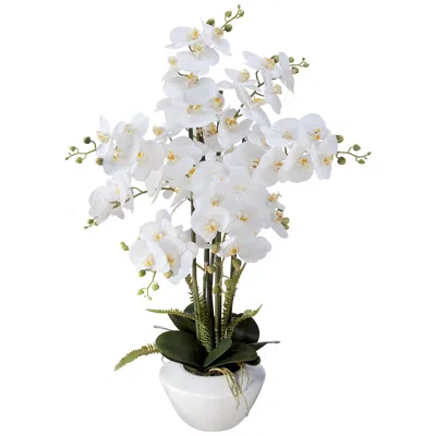 Dahlia Studios White Phalaenopsis Orchid Flower 29" High Faux Floral Arrangement