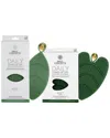 Daily Concepts Leaves Of Life Silicone Set