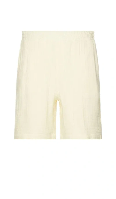 Daily Paper Enzi Seersucker Shorts In Icing Yellow