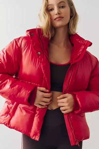 Daily Practice Up For It Hooded Puffer Jacket In Burgundy