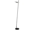Dainolite 20w Floor Lamp Matte Black In Silver