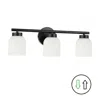 Dainolite 3 Light Matte Black Vanity W/ Opal Glass In Black