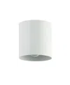 Dainolite 5" Metal Theron 1 Light Flush Mount In Matte White