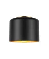 Dainolite 6" Metal Emilia Flush Mount With Gold-tone Shade In Matte Black,aged Brass