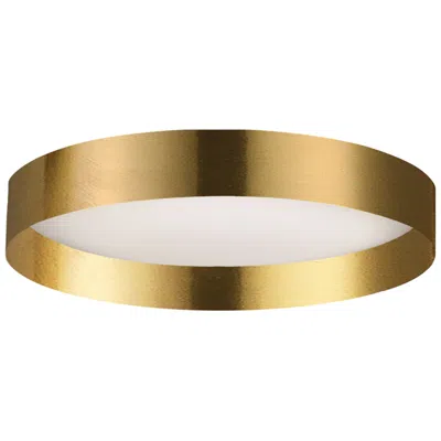 Dainolite Carmen 15" Wide Aged Brass Led Flush Mount