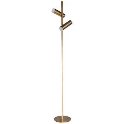 Dainolite Constance 62 1/4" Aged Brass 2-light Modern Floor Lamp In Brown