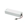 Dainolite Driver