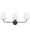 Dainolite Eleanor 3-light Vanity-light
