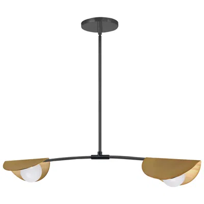 Dainolite Emma 34" Wide 2 Light Horizontal Matte Black And Aged Brass Pendant In Brown