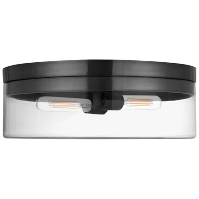 Dainolite Fiona 14" Wide Matte Black 2-light Ceiling Light