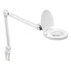 Dainolite Magnifier,a-bracket White In Metallic