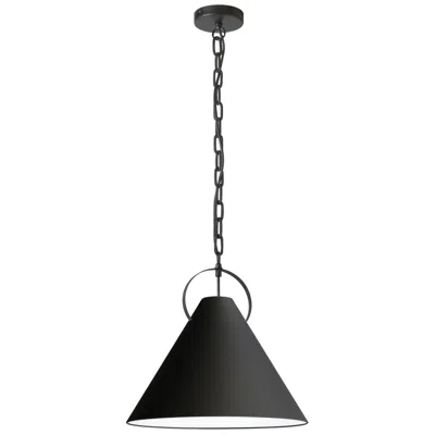 Dainolite Princeton 16" Wide Matte Black Pendant