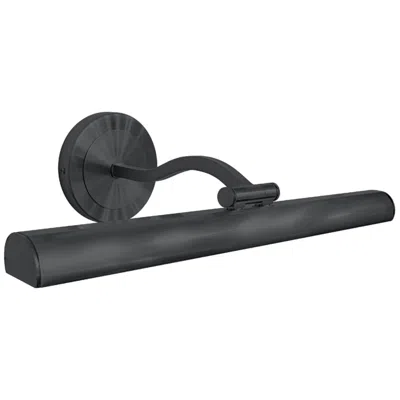 Dainolite Reina 16 1/4" Wide Matte Black Plug-in Led Picture Light In Multi