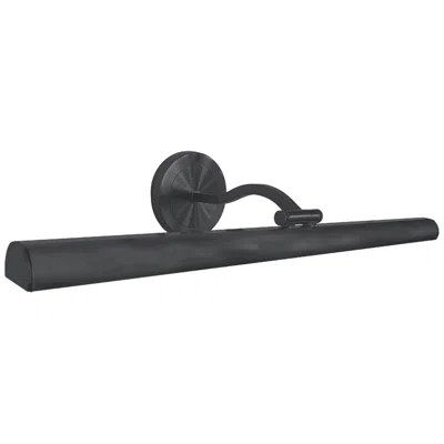 Dainolite Reina 24" Wide Matte Black Led Picture Light