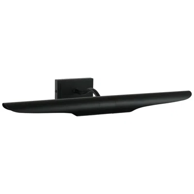 Dainolite Roselyn 22" Wide 2-light Matte Black Picture Light