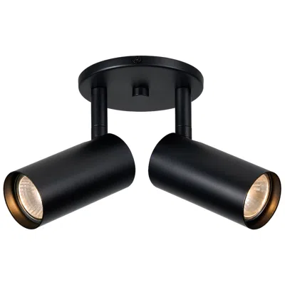 Dainolite Stanly 10 1/2" Wide Matte Black 2-light Spotlight