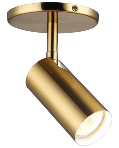 Dainolite Stanly 1-light Spotlight In Gold