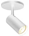 Dainolite Stanly 1-light Spotlight In White