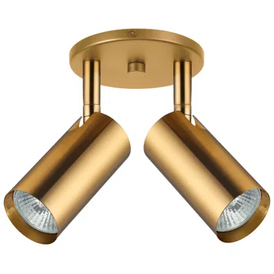 Dainolite Stanly 7 1/2"h Electroplated Aged Brass 2-light Spotlight In Gold