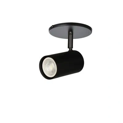 Dainolite Taylor 1 Light Track Light In Matte Black