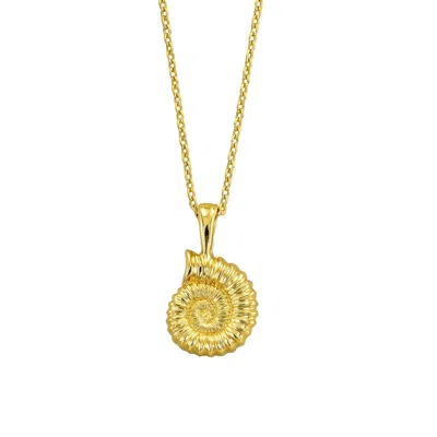 Dainty London Women's Dainty Gold Ammonite Fossil Necklace