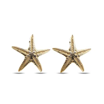 Dainty London Women's Dainty Gold Starfish Studs