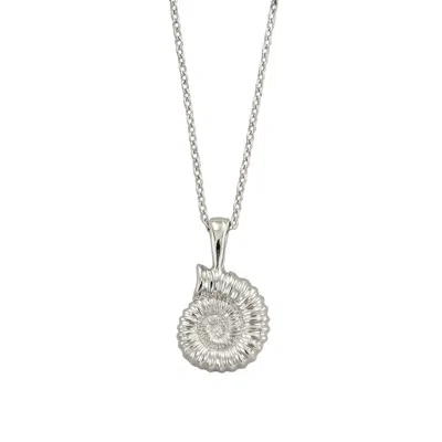 Dainty London Women's Dainty Silver Ammonite Fossil Necklace