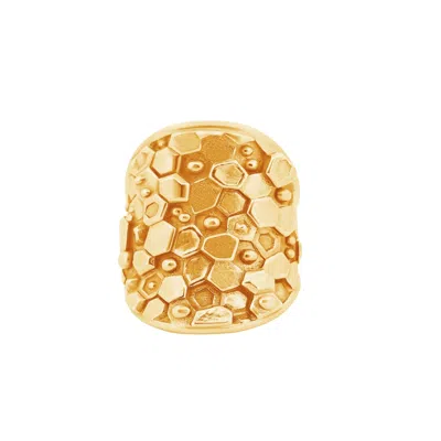 Dainty London Women's Gold Statement Saddle Ring - Hemera