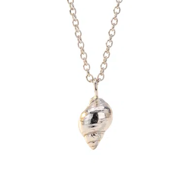 Dainty London Women's Large Silver Periwinkle Seashell Necklace
