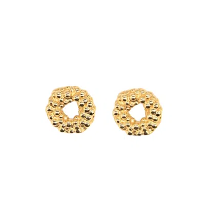 Dainty London Women's Solid Gold Mini Barnacle Hoops