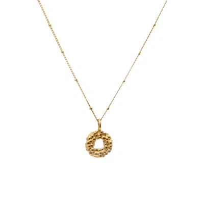 Dainty London Women's Solid Gold Mini Barnacle Necklace