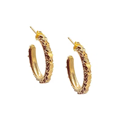 Dainty London Women's The Gold Hebe Hoop Earrings