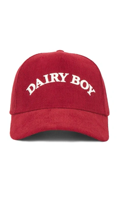 Dairy Boy Arch Corduroy Trucker Hat In 鲜红色