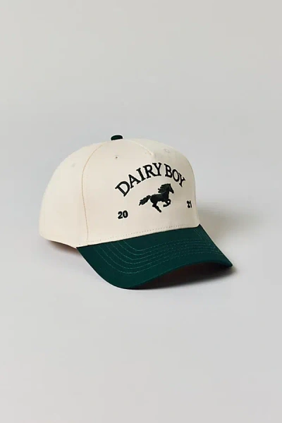 Dairy Boy Easy Coast Trucker Hat In Hunter Green, Women's At Urban Outfitters
