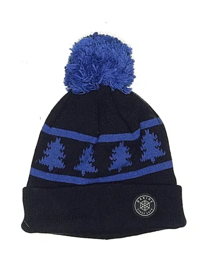 Pre-owned Dakine Beanie Hat In Blue
