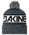 Dakine Jameson Beanie Snow Beanie In Gray