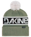 Dakine Jameson Beanie Snow Beanie In Green