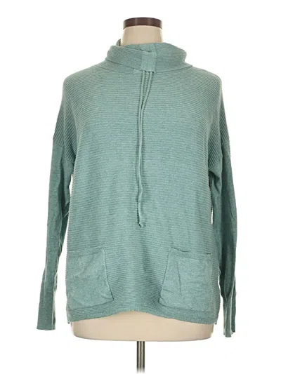 Pre-owned Dakini Turtleneck Sweater In Blue