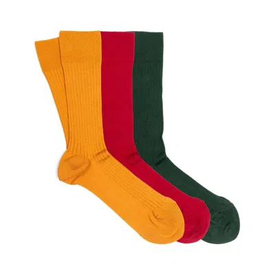 Dalgado Men's 3-pack Scottish Lisle Cotton Socks Bold Mix In Multi