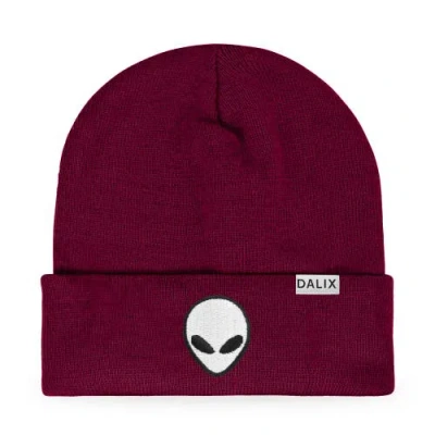 Dalix Alien Beanie In Maroon