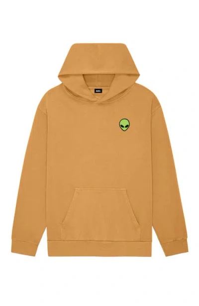 Dalix Alien Midweight Relaxed Hoodie In Brown